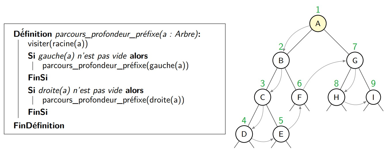 Algorithme d'un parcours prefixe